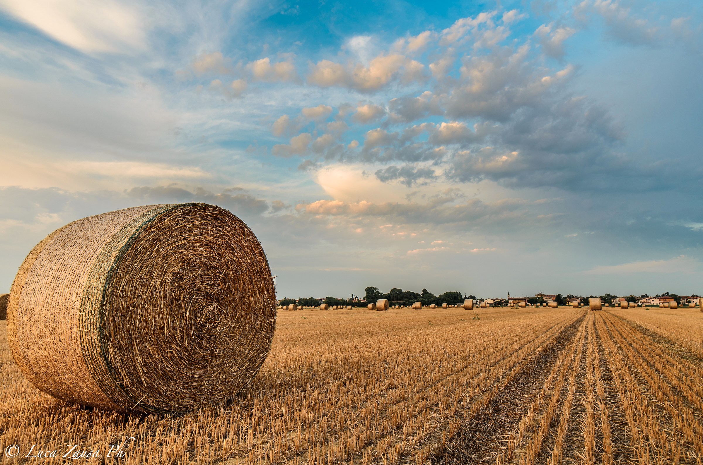 Che ne sai tu di un campo di grano