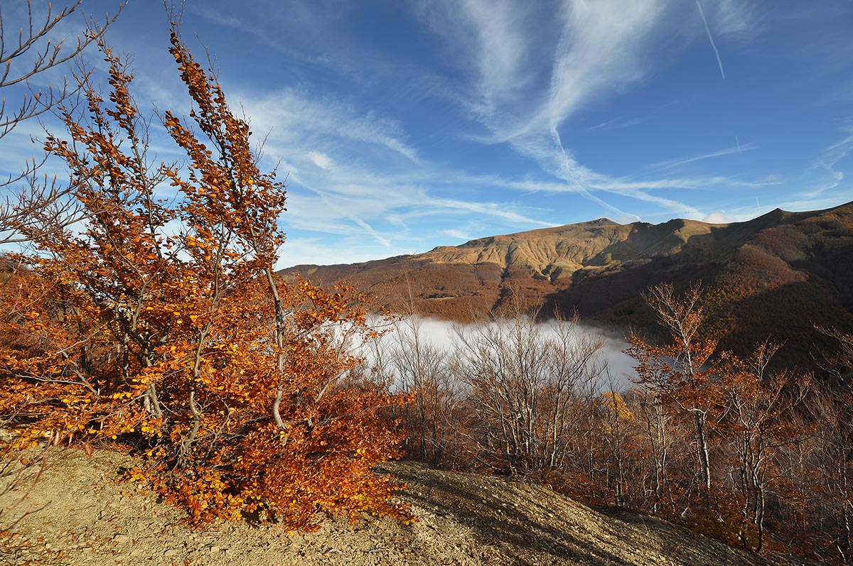 Panorama from the Open Book