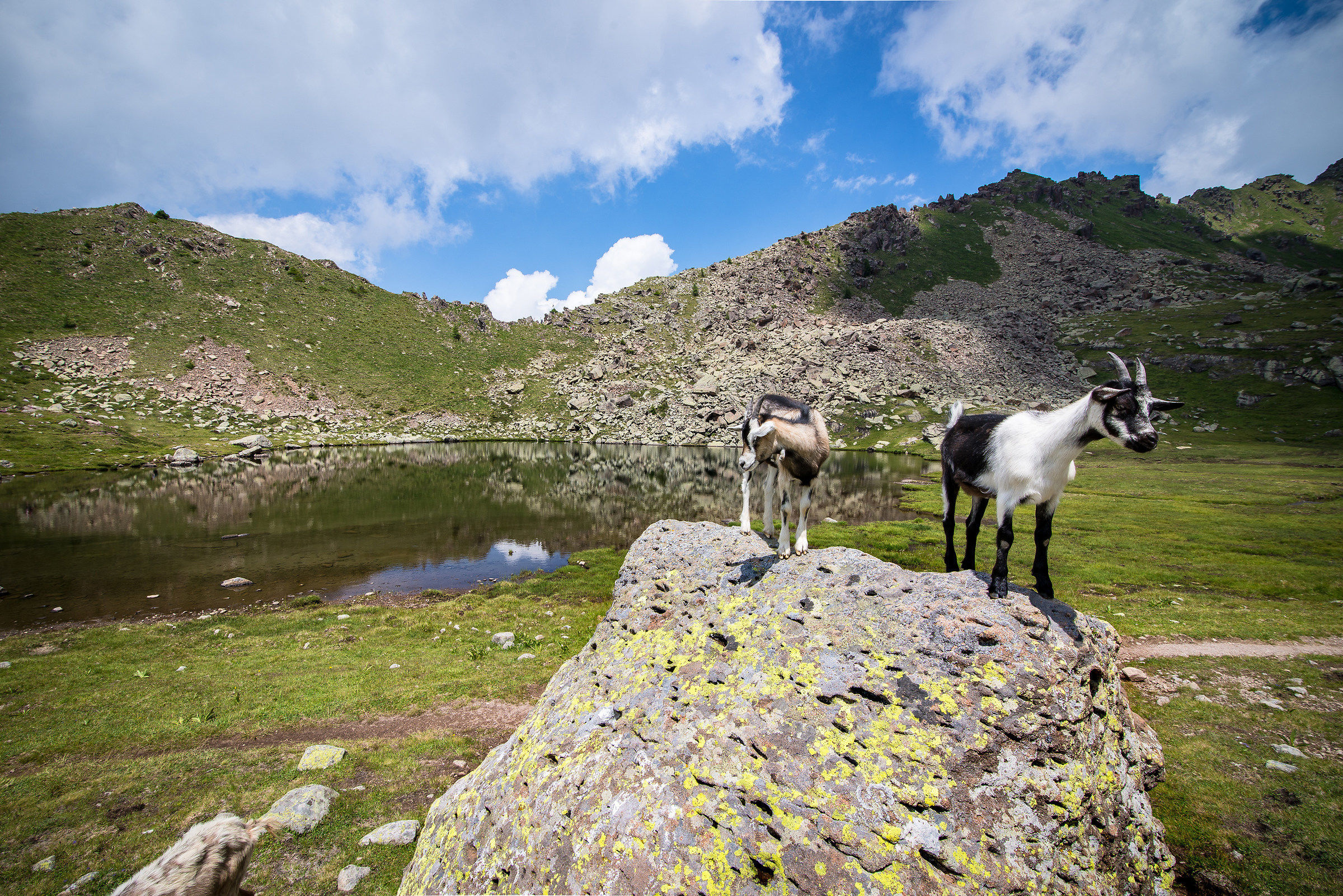 The Goat Lake (Lusia Alpine Lakes)