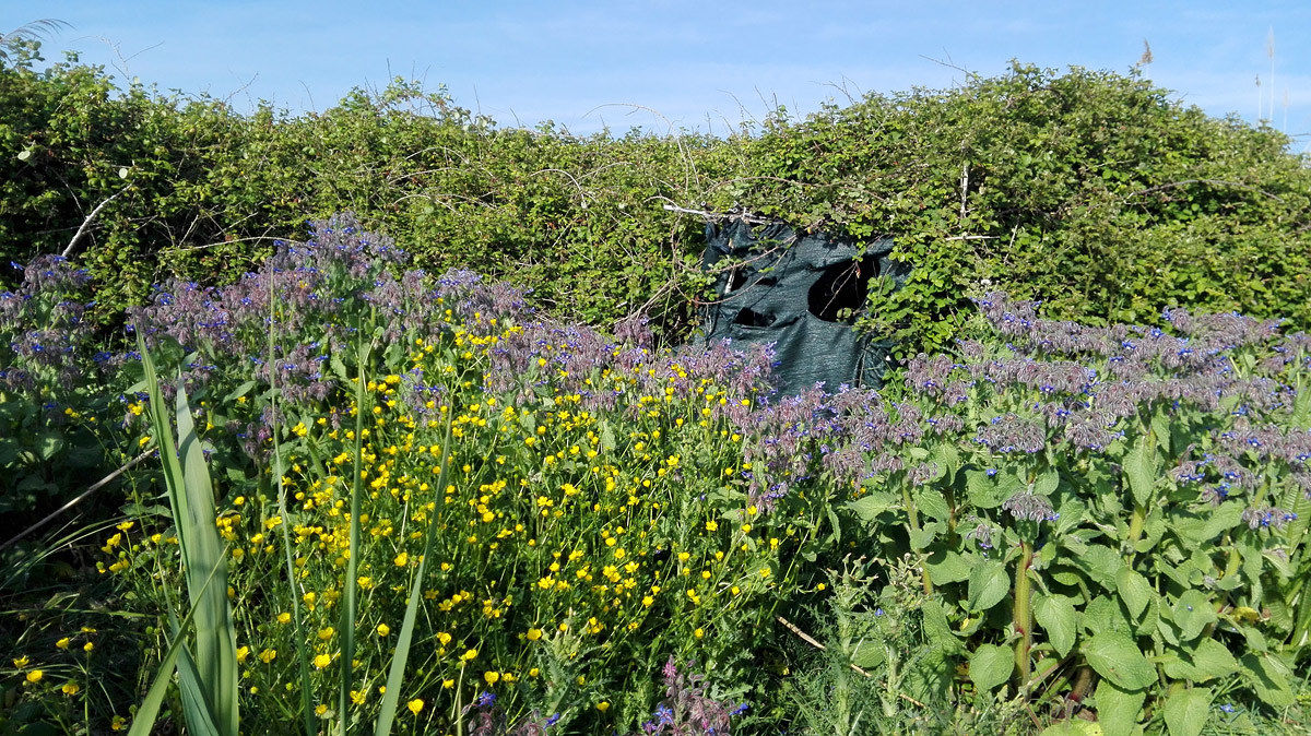 Capanno for passeracei