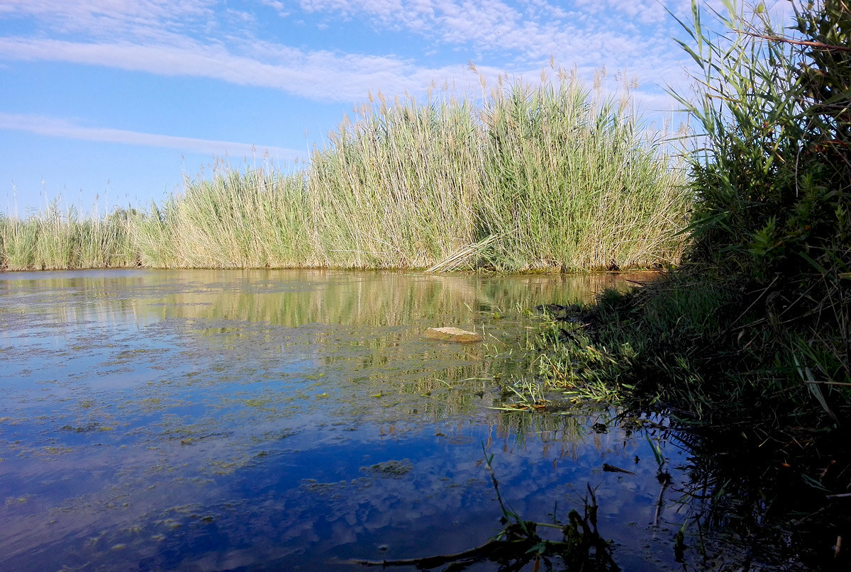 Visualized by shipment