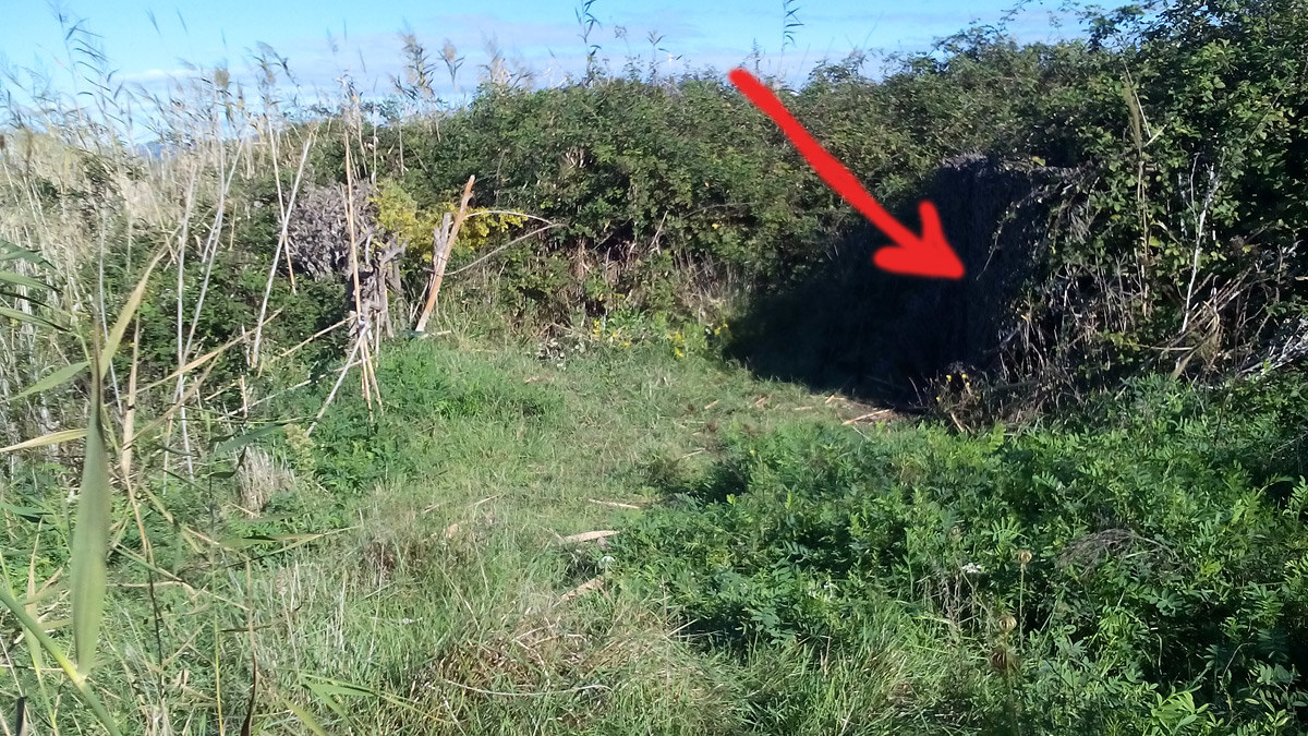 Capanno for passeracei