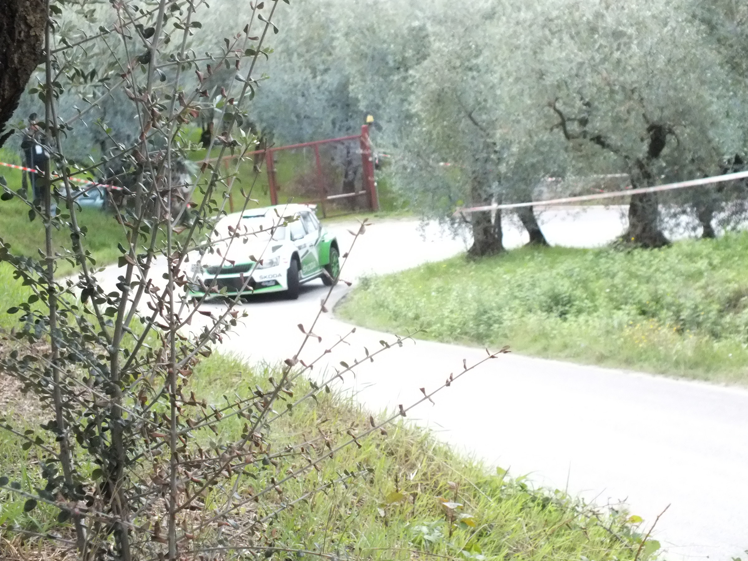 Rally pistoia 2016