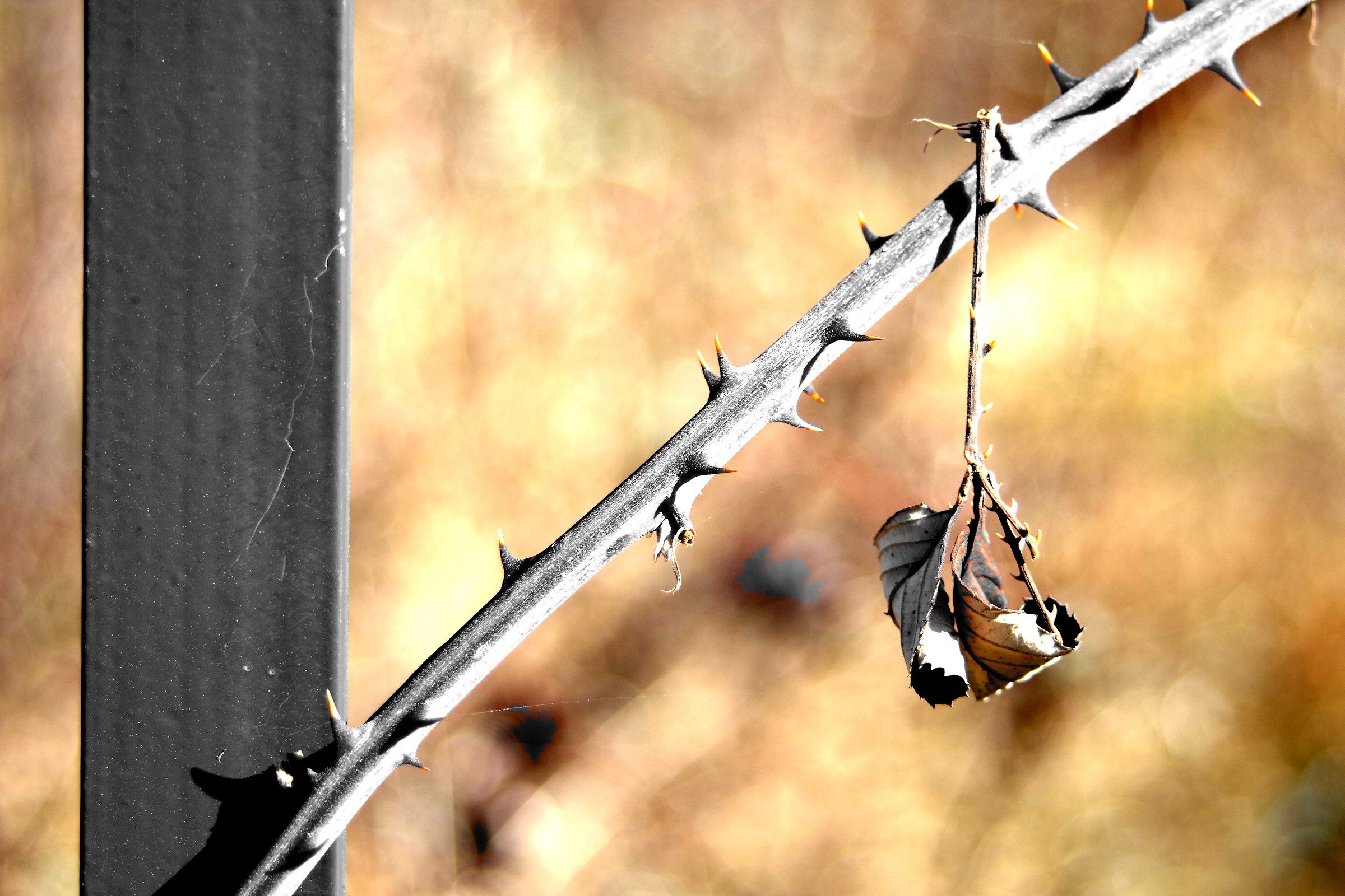 ...ancora inverno...