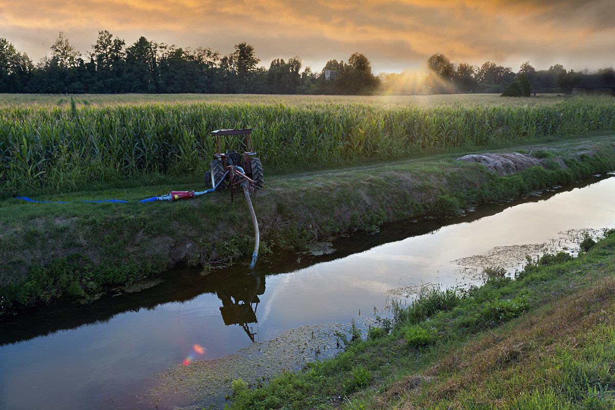 The drizzling summer