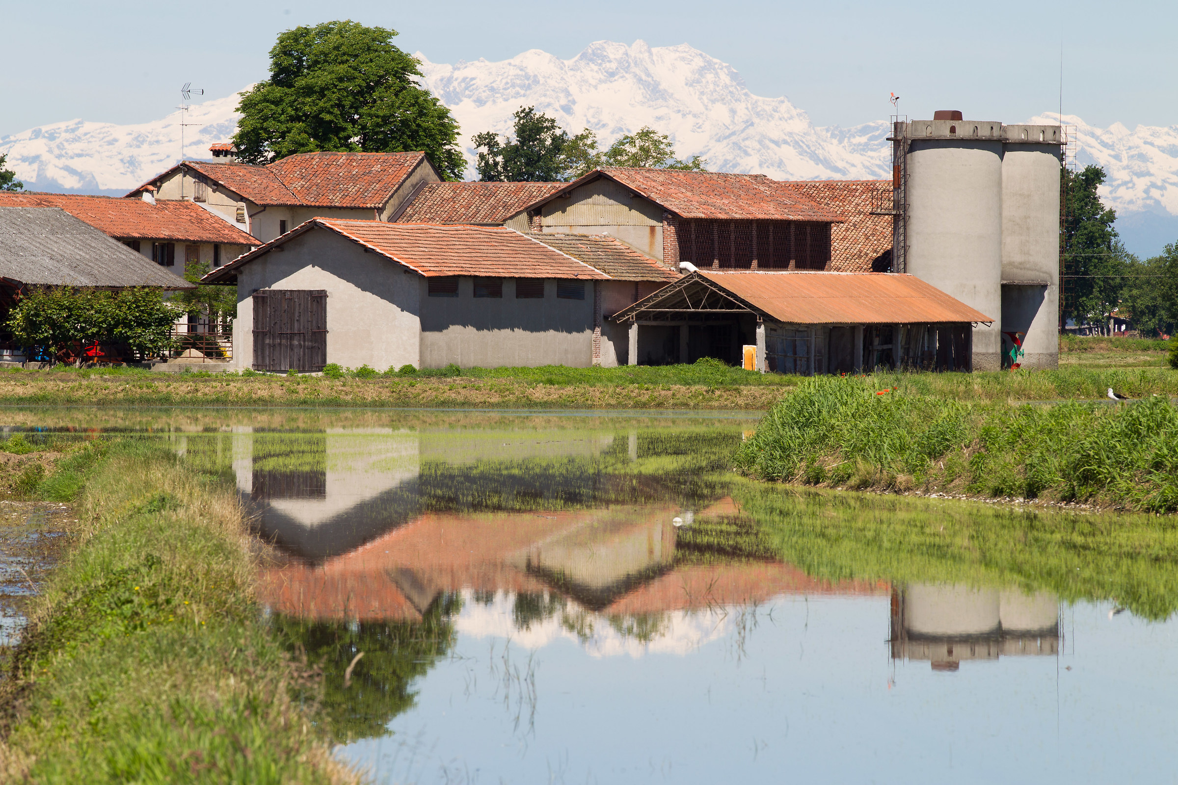 La Terra dalla testa ai piedi