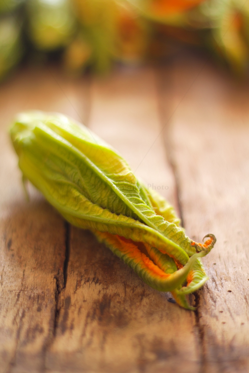 Zucchini flowers