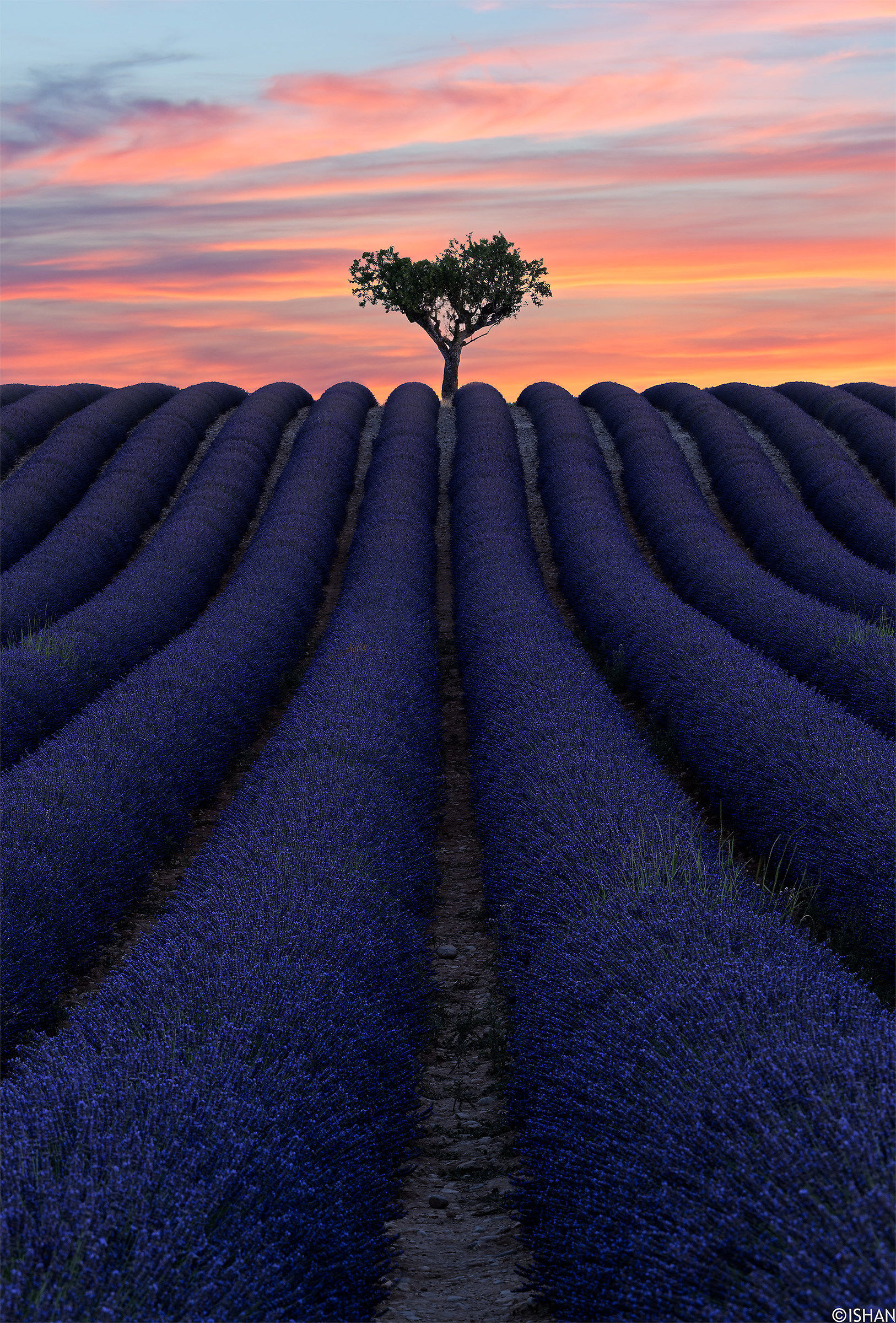il guardiano del campo