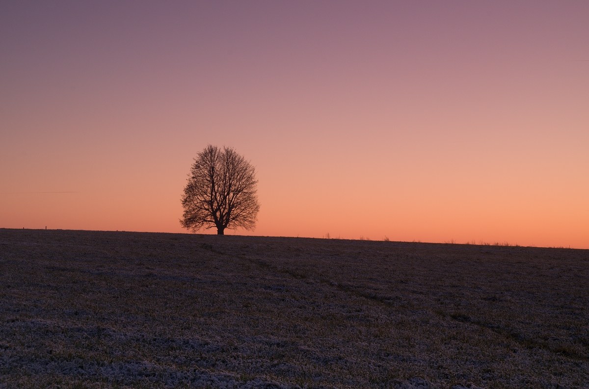 Winter twilight