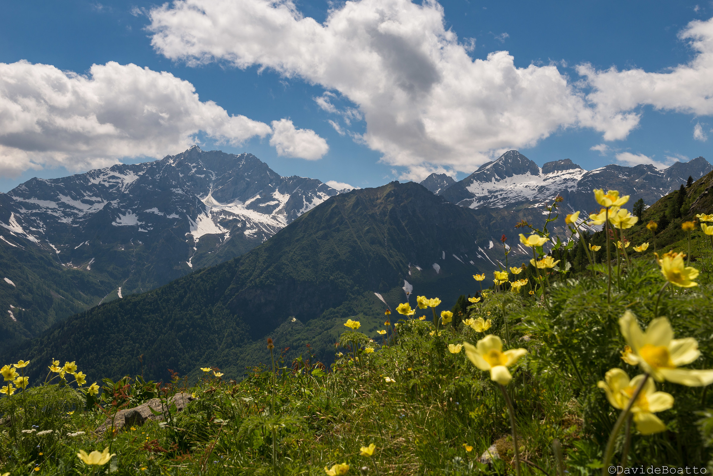 Panorama on the White Horn