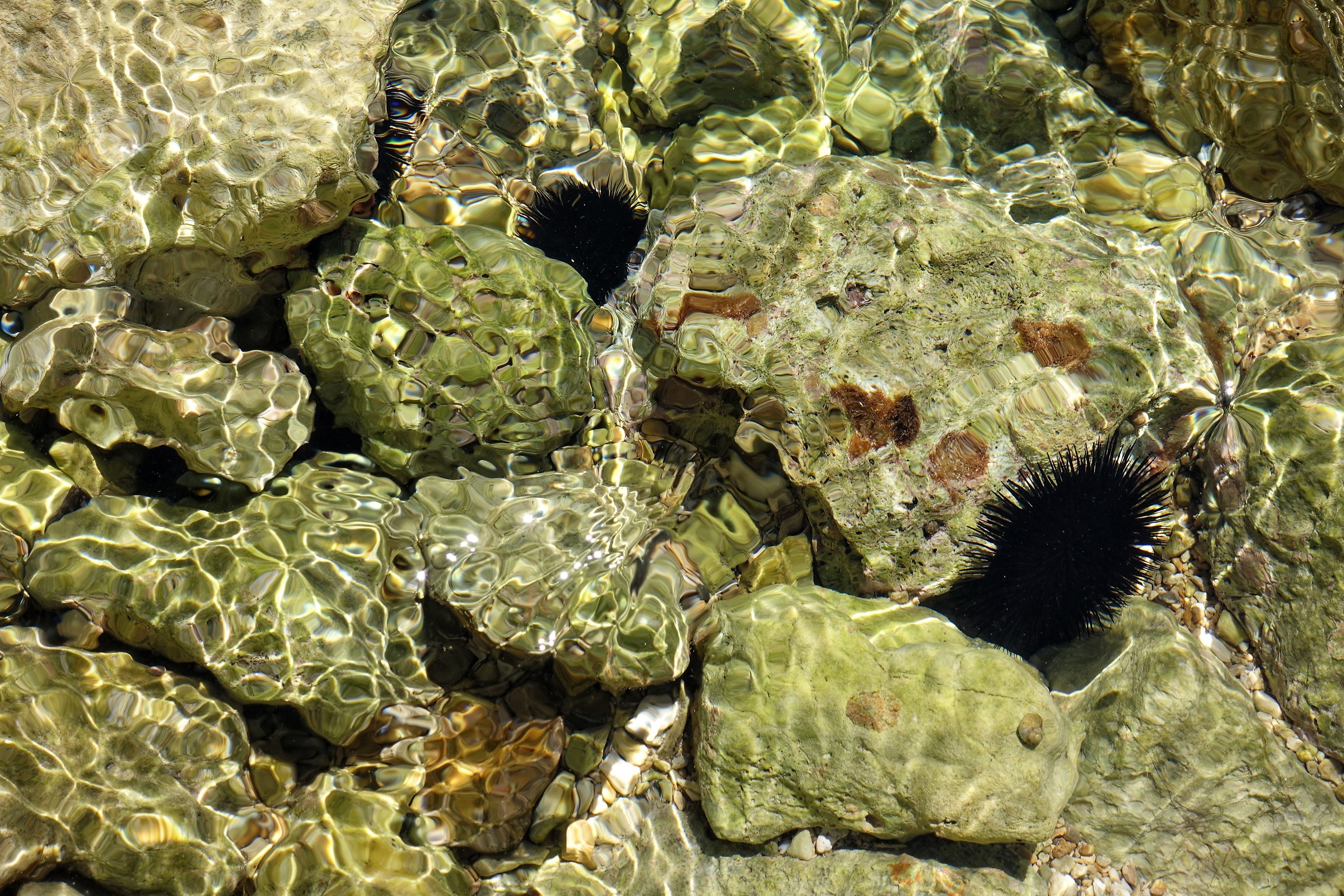 Refraction and curls