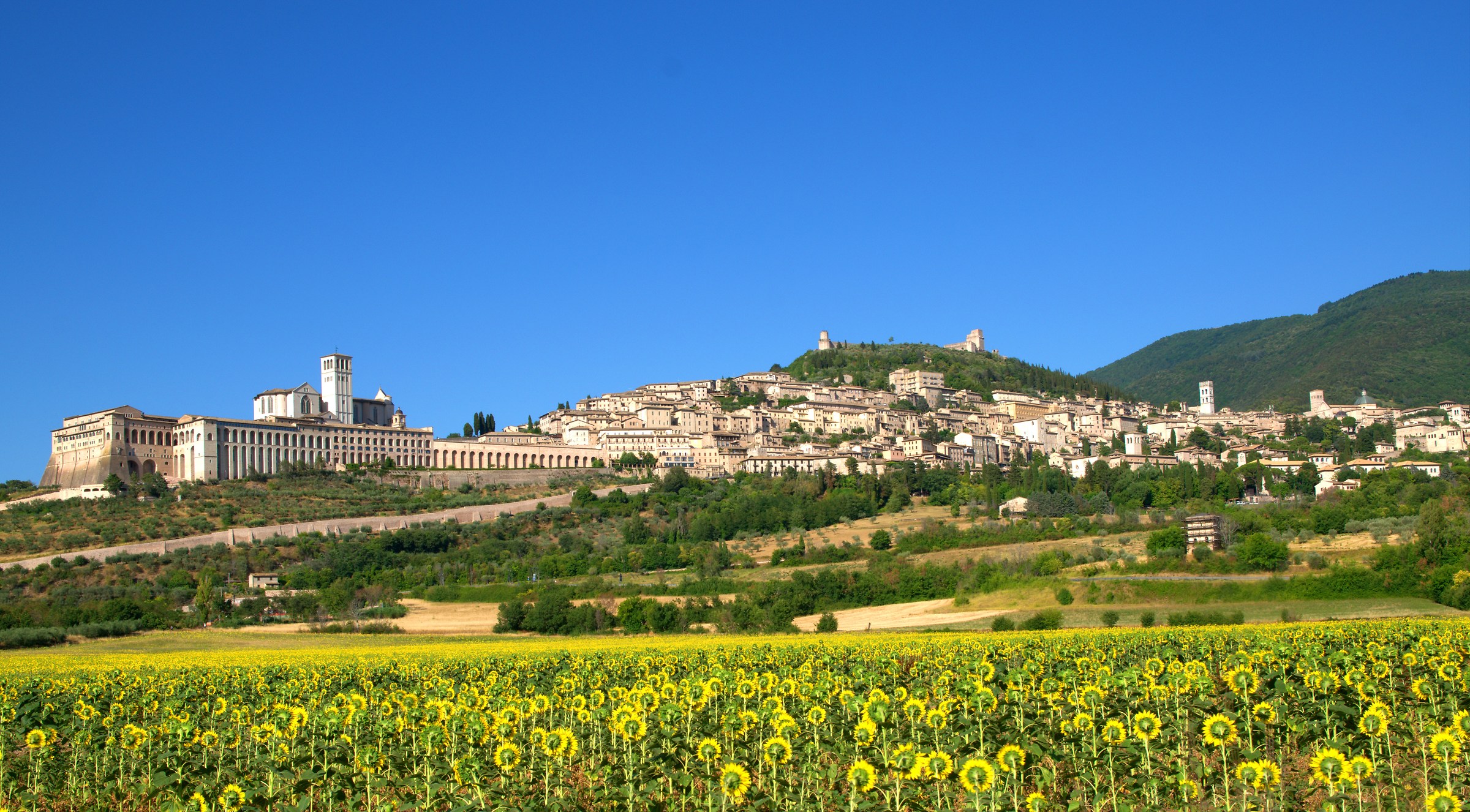 assisi in estate