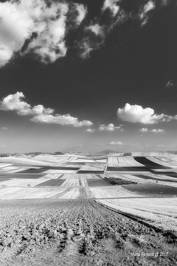 Not everything is always in color