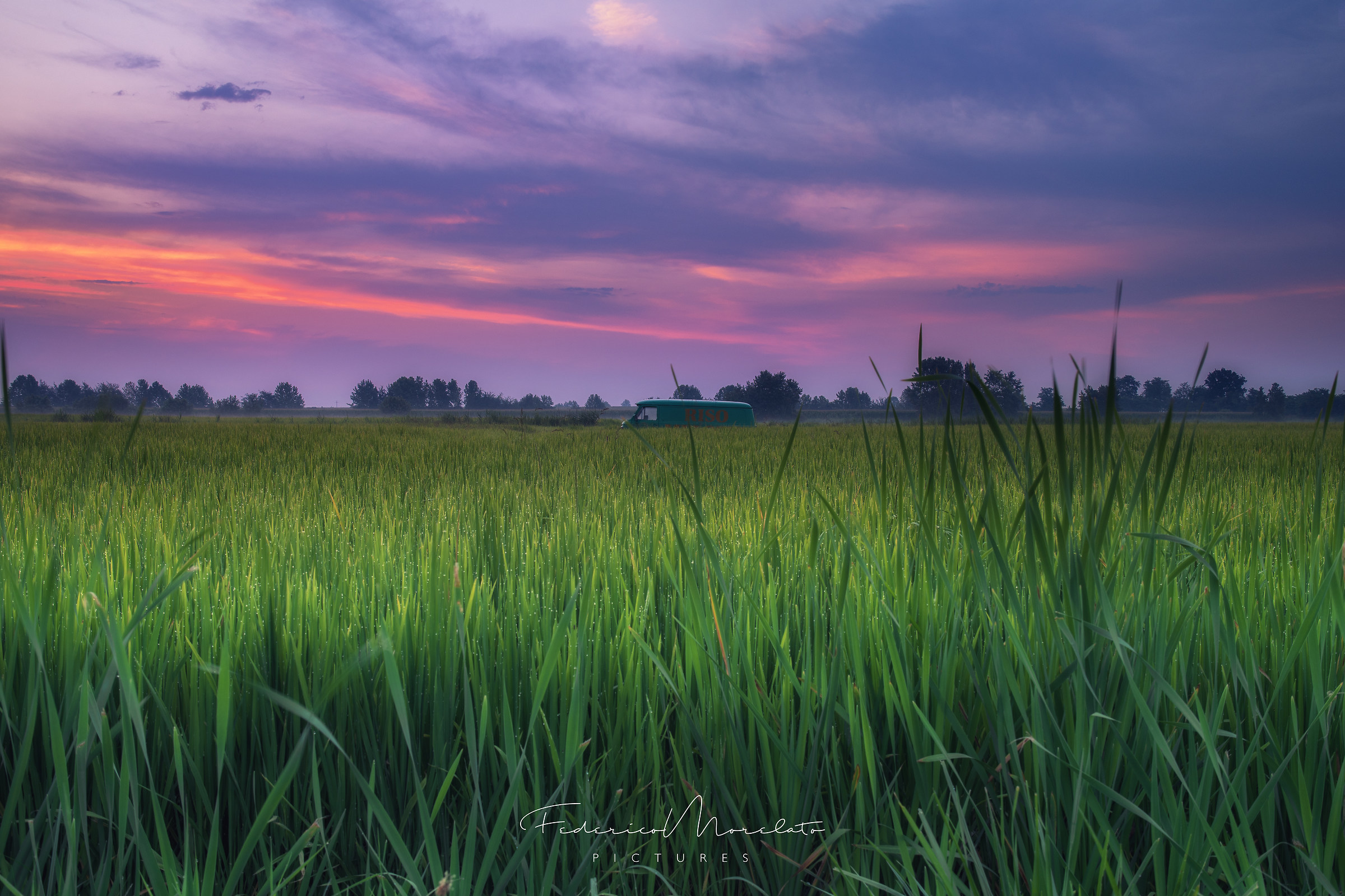 Facciamoci una ri-saia!!