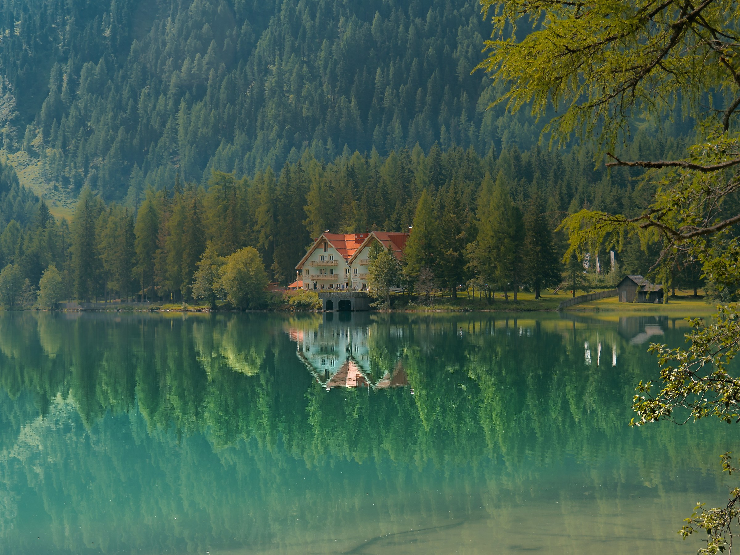 The house on the lake