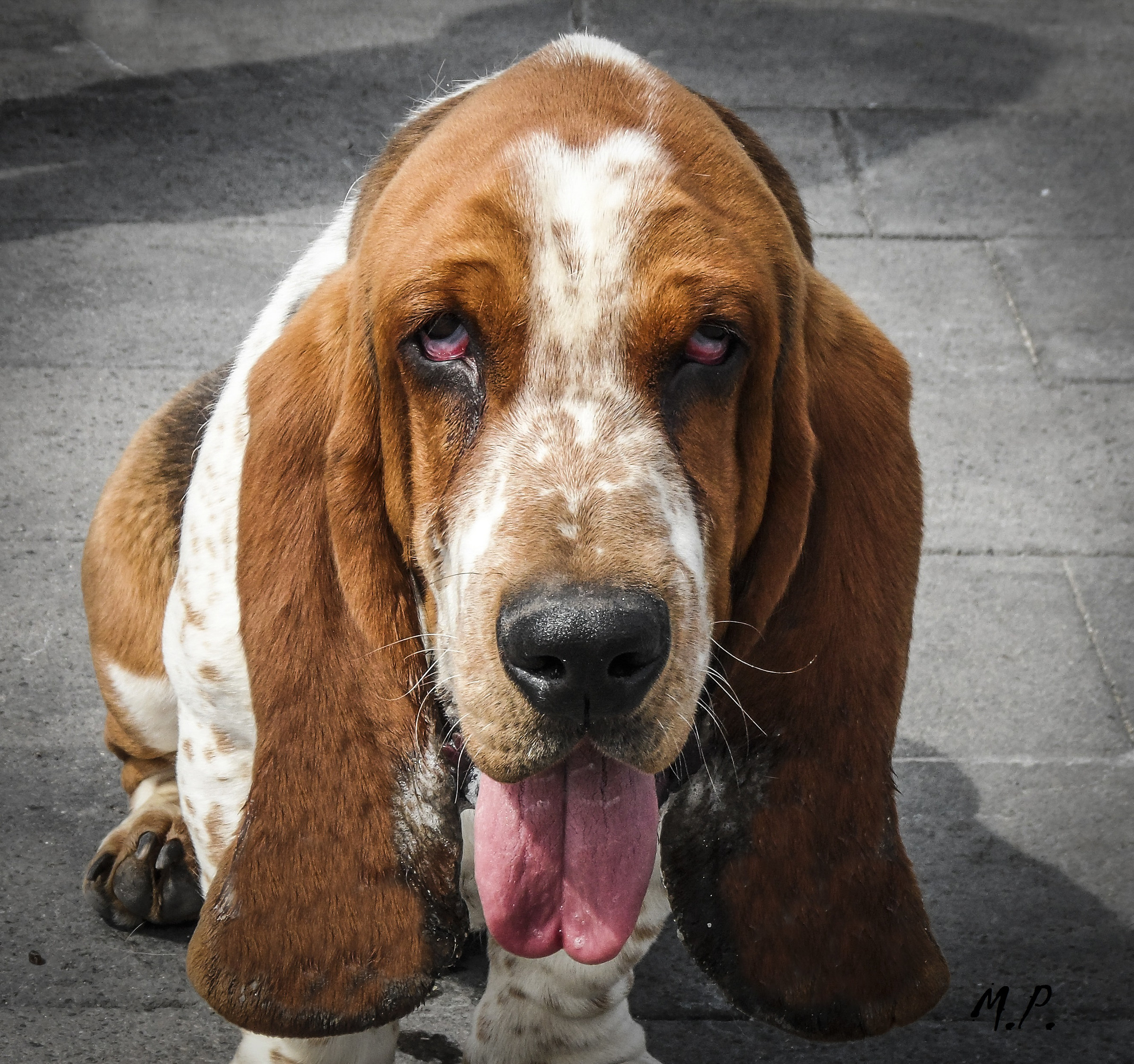 With that face a bit like this....