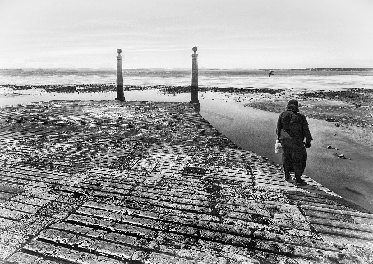 e' uno di quei giorni che ..