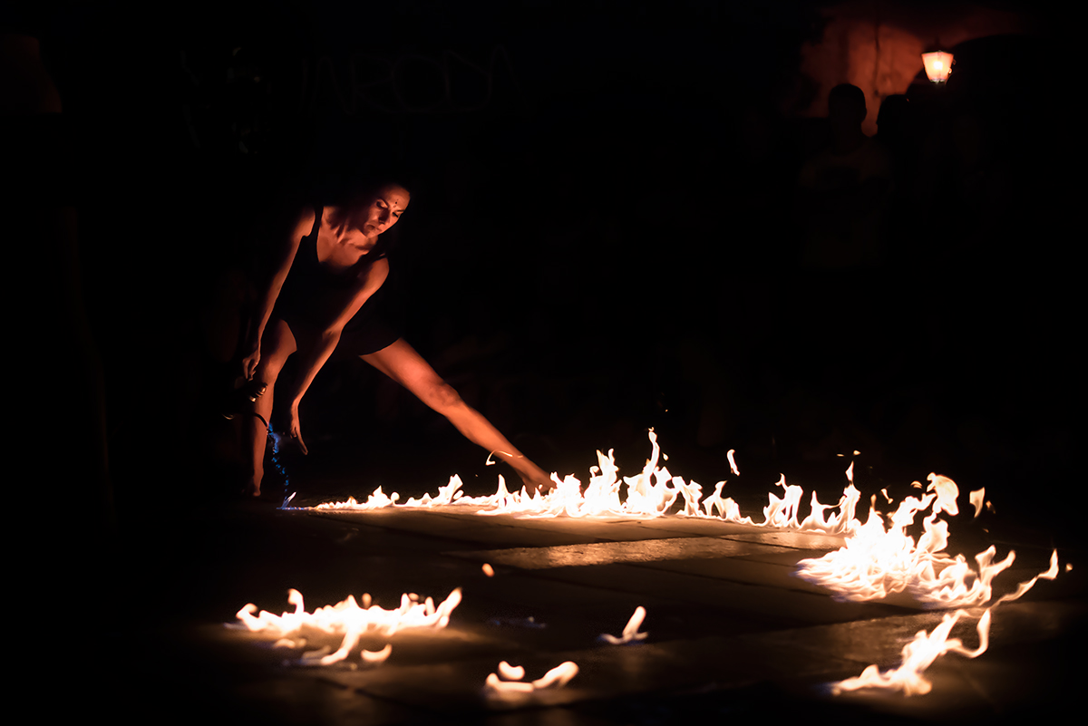 La coltivatrice di Fiamme 2