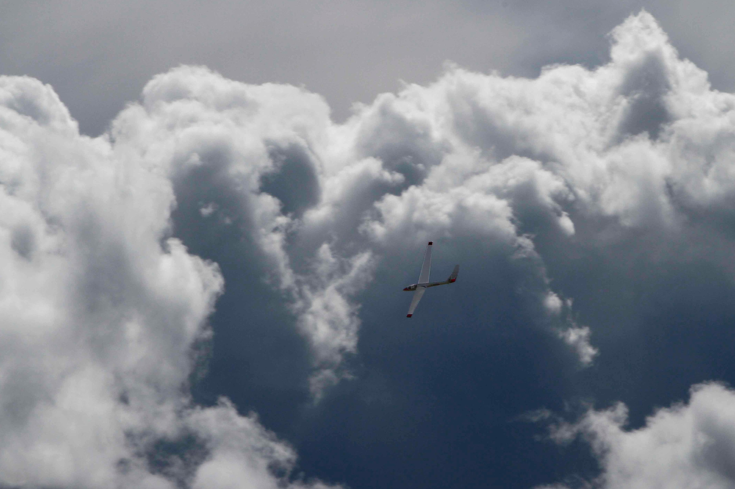 With its head in the clouds