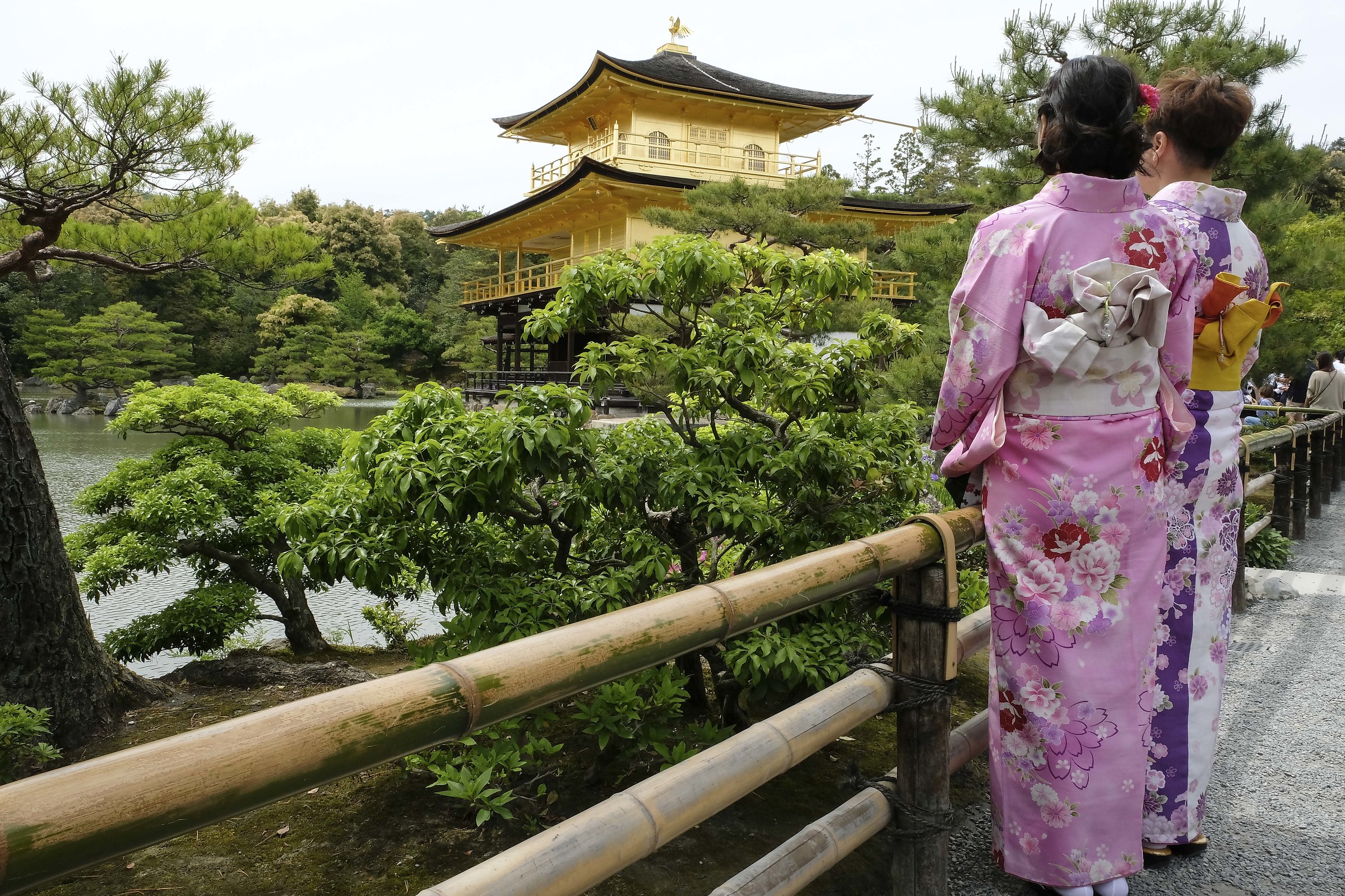 Kyoto - The golden pavilion Kinkakuji Temple