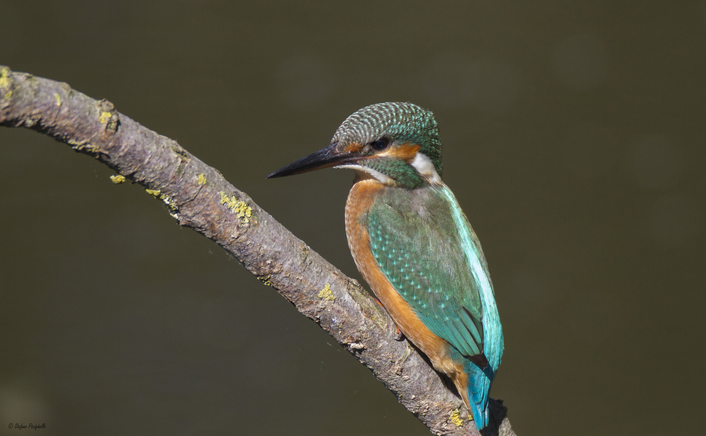 For the first time ... Martin Fisherman !!!