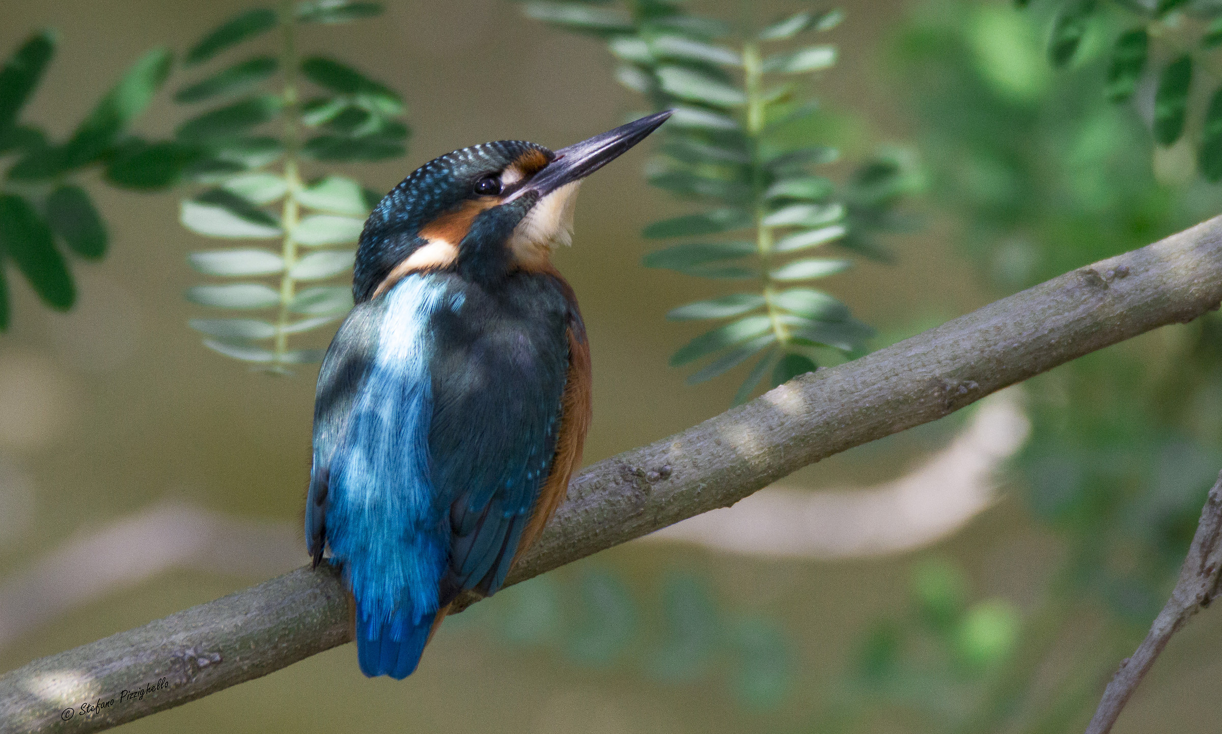 For the first time ... Martin Fisherman !!!