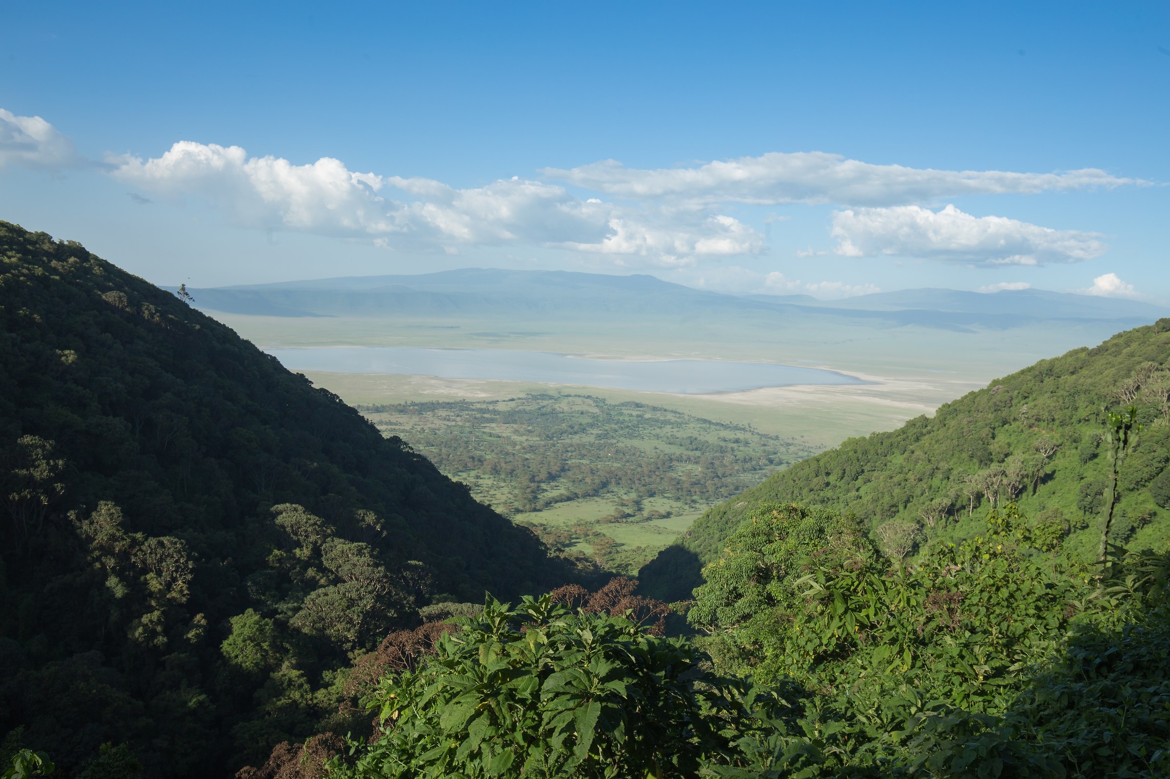 ngorongoro