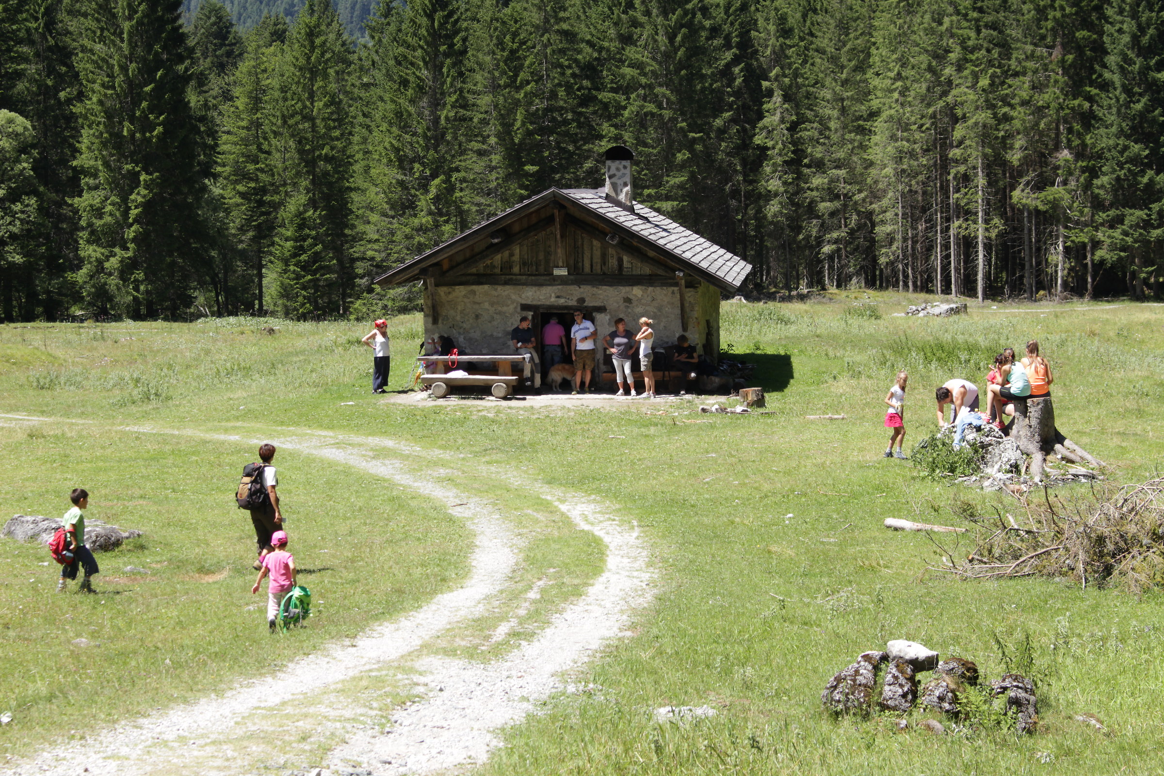 Arrivo a Malga Brenta Bassa