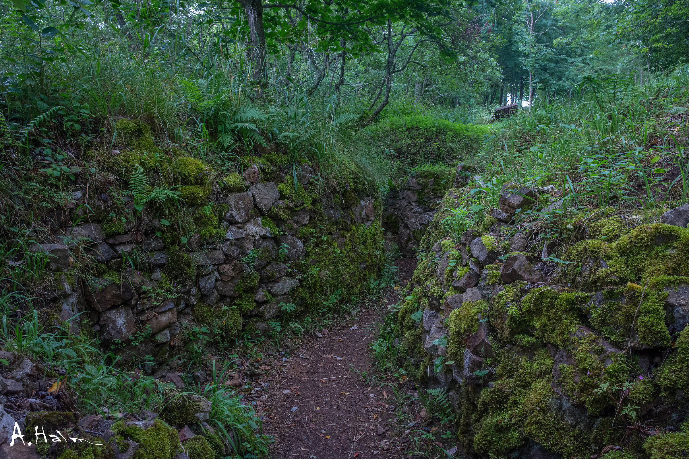 German WW1 Trench. French/German border