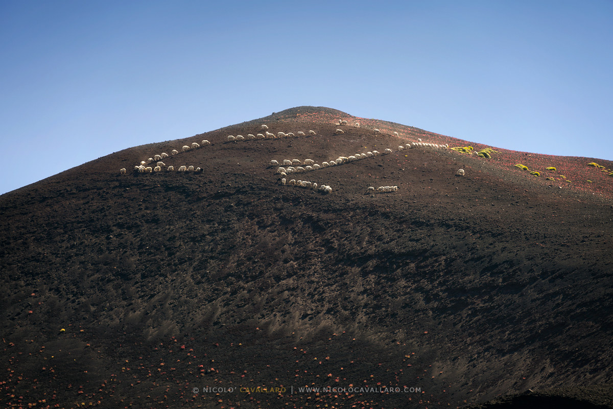 Ma che ci fate lassù?! (Etna)