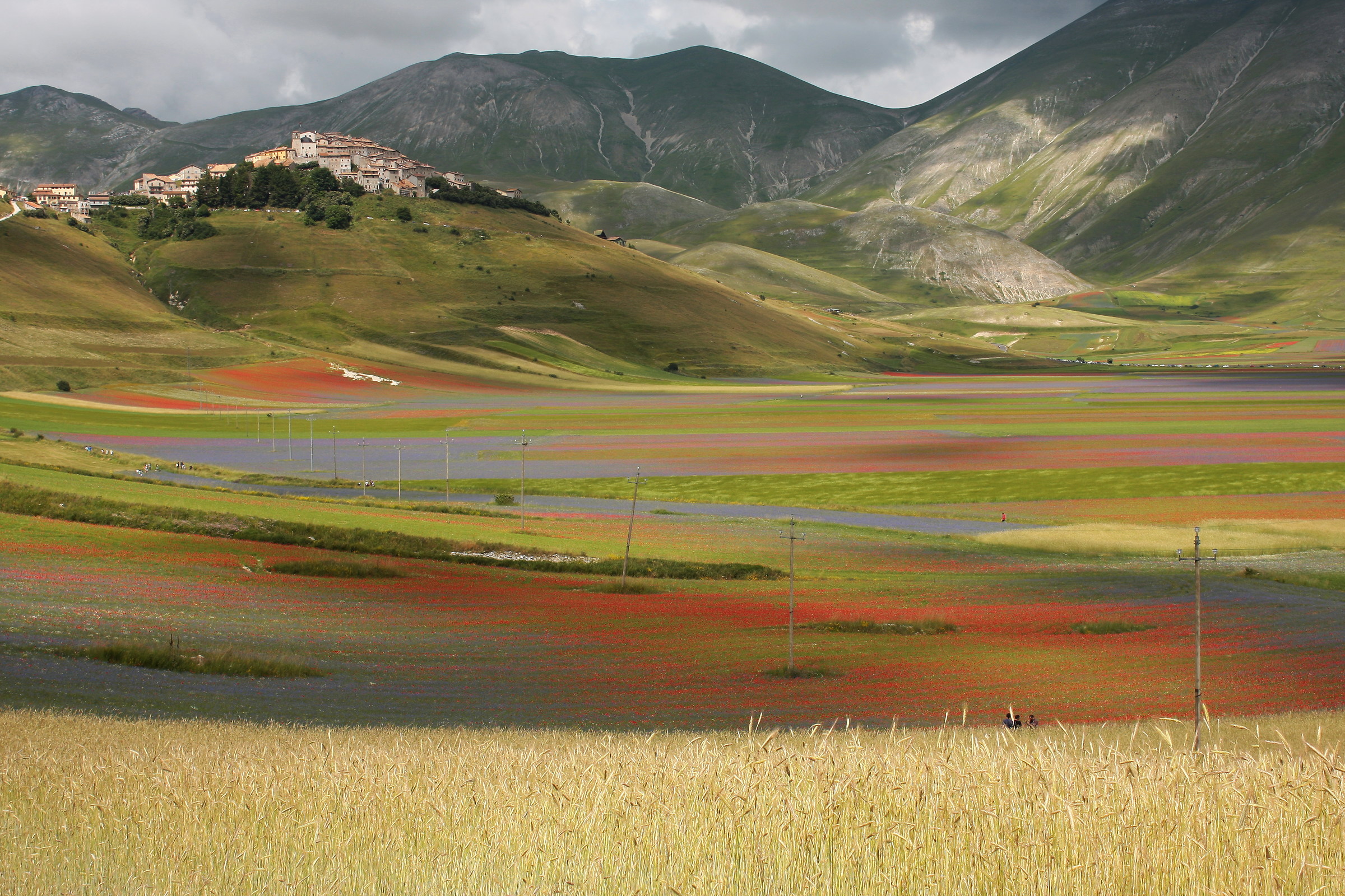 Il mio ricordo di te....