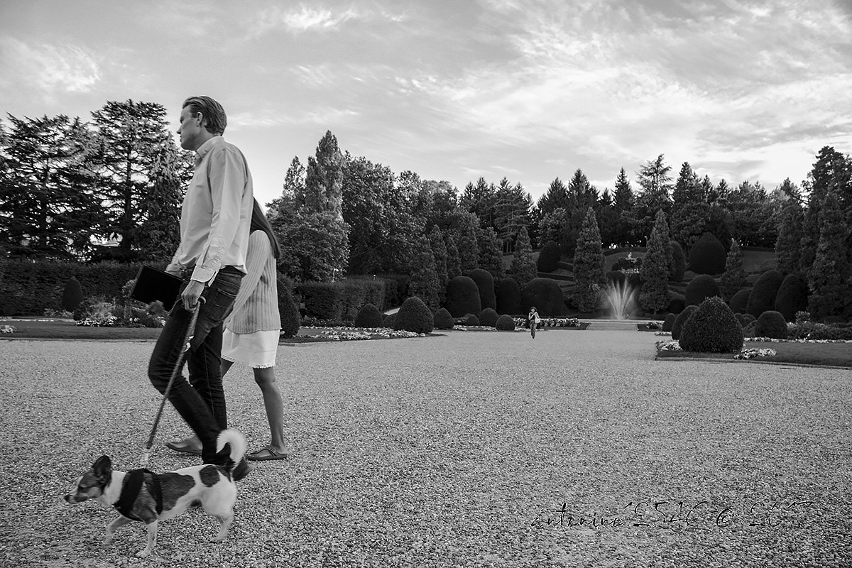 Walking around the park