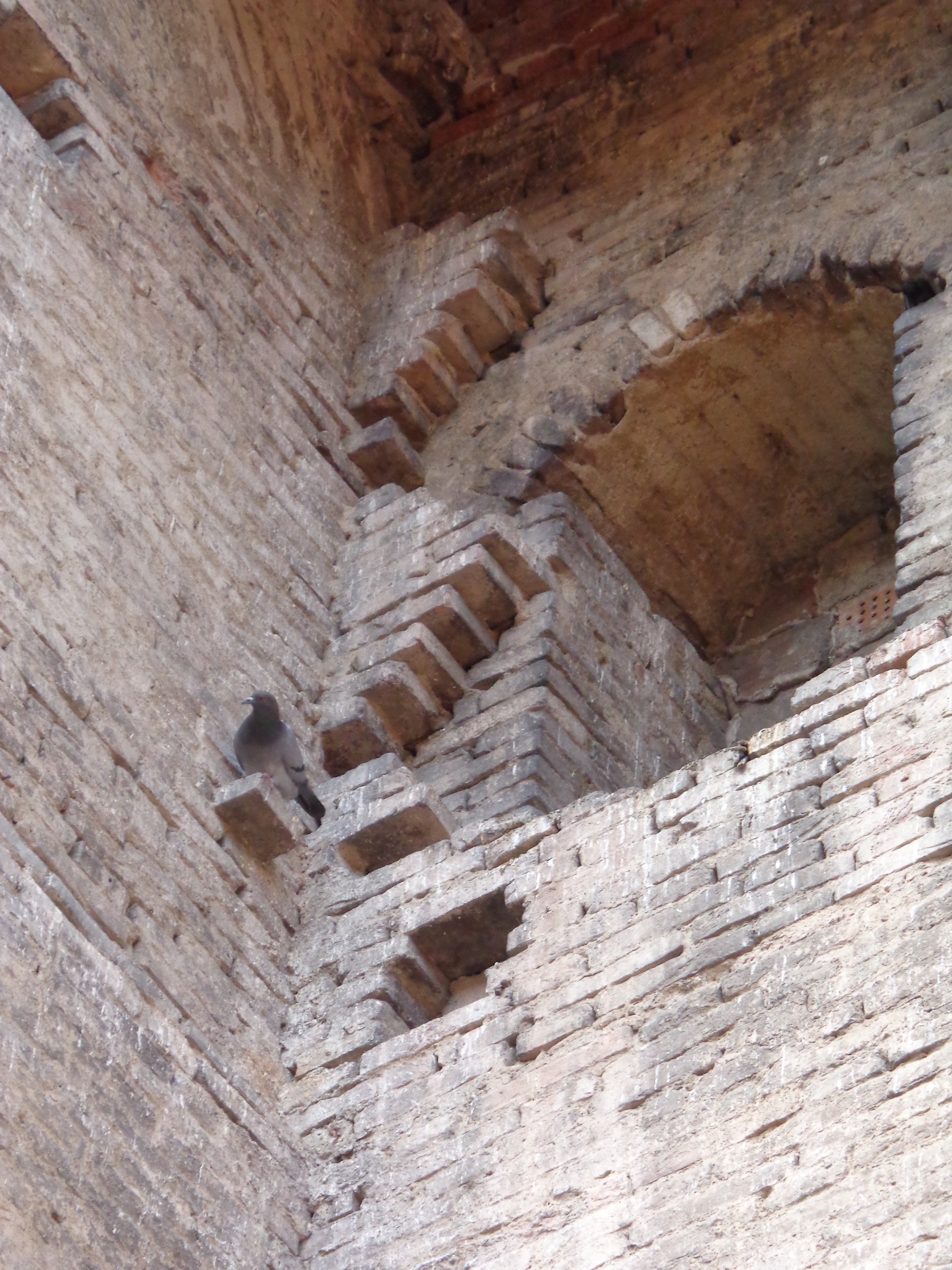 Baroque architecture with built-in pigeon