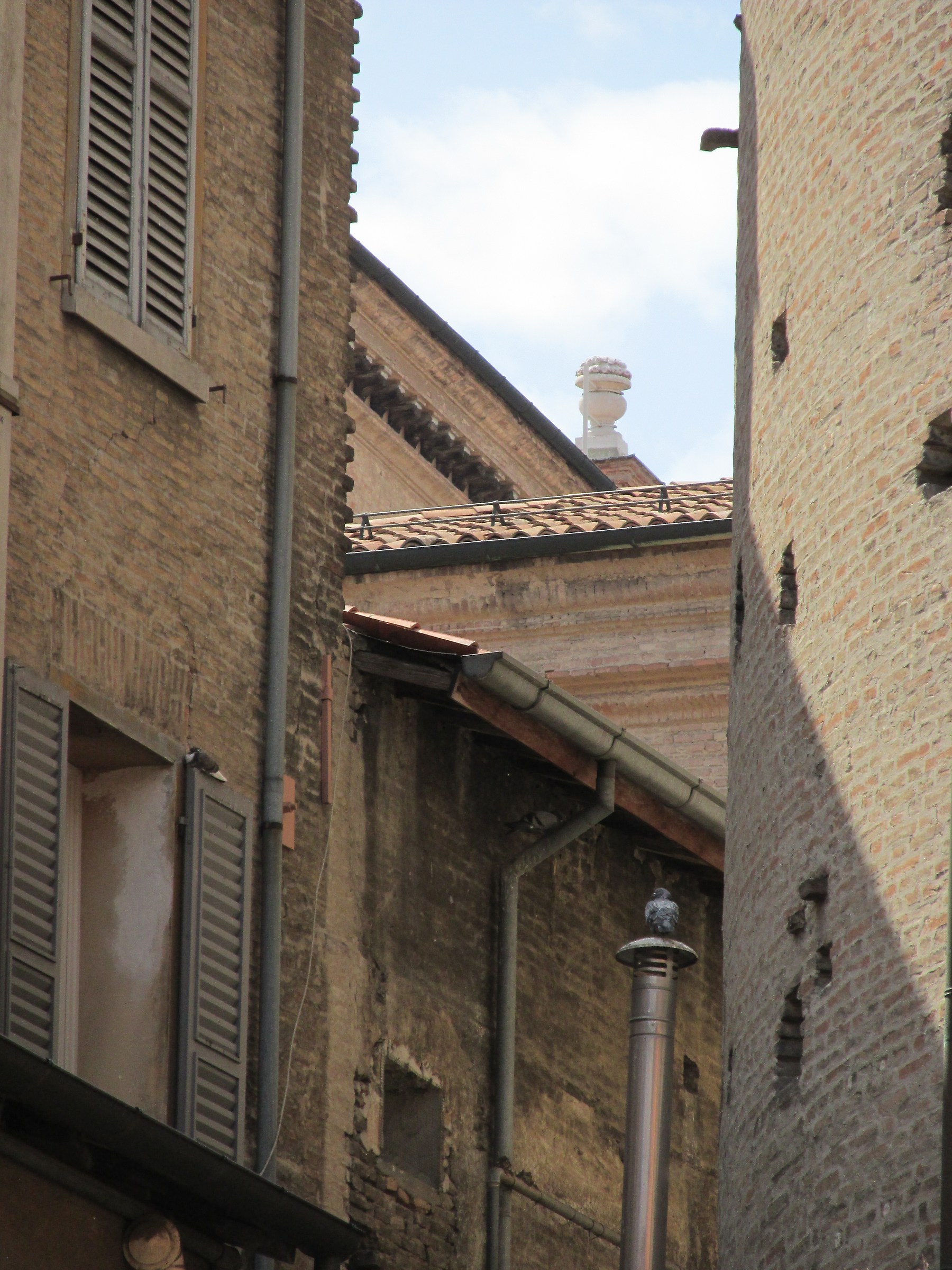 Intrecci architettonici con piccione incorporto