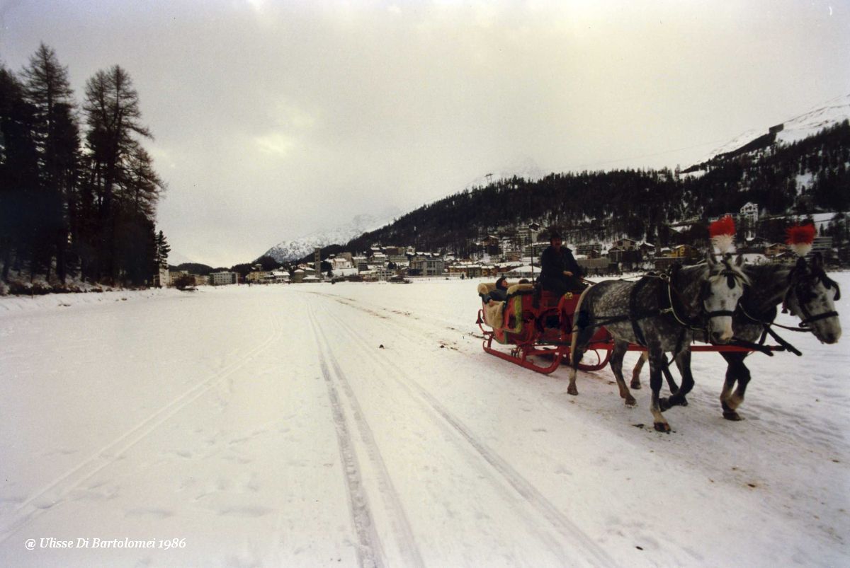 Tourists on sled