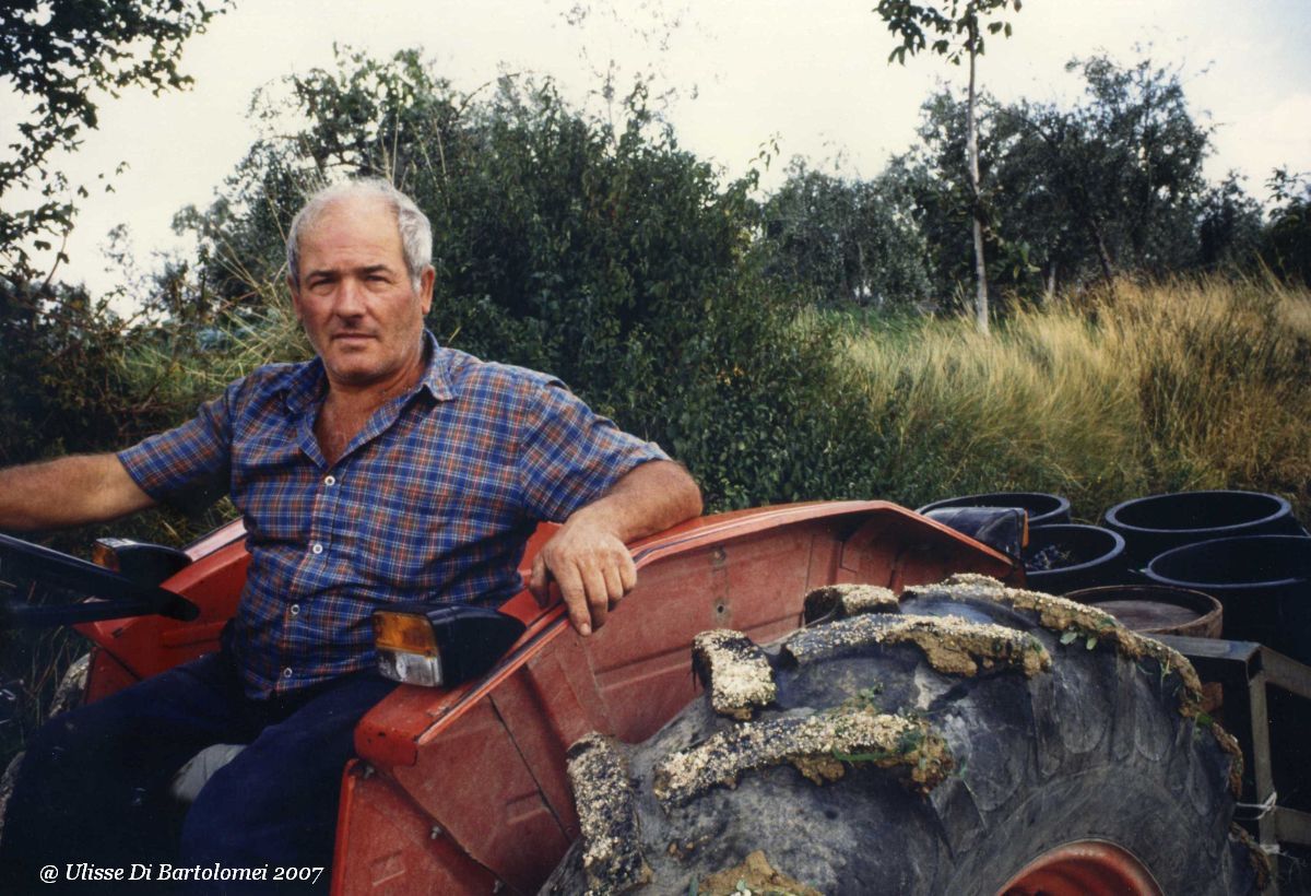 Zio Maurino, il trattore e l'uva... verso casa...