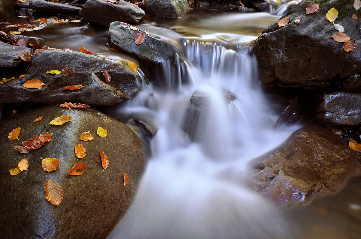 Autumn on the Door Creek 3