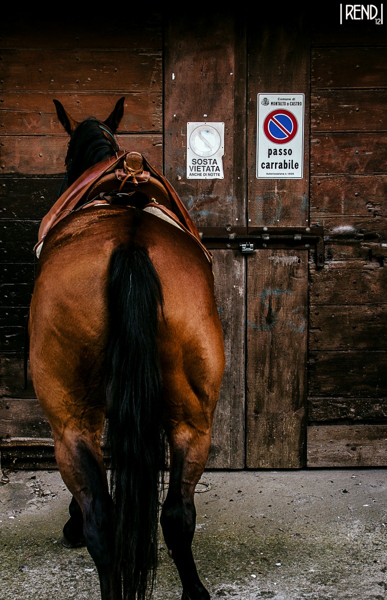 Disparity of treatment