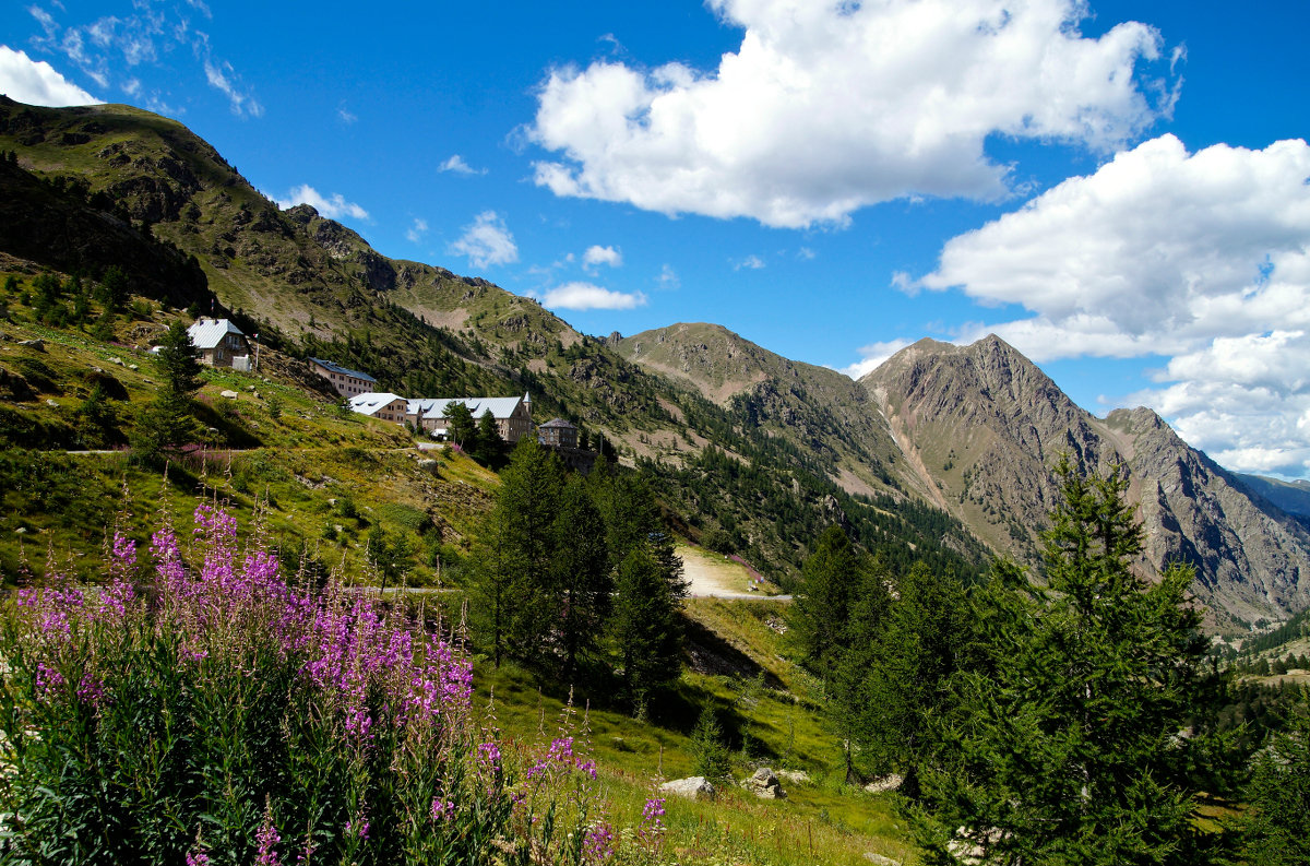 Floral tribute to the "heavenly grandmother"