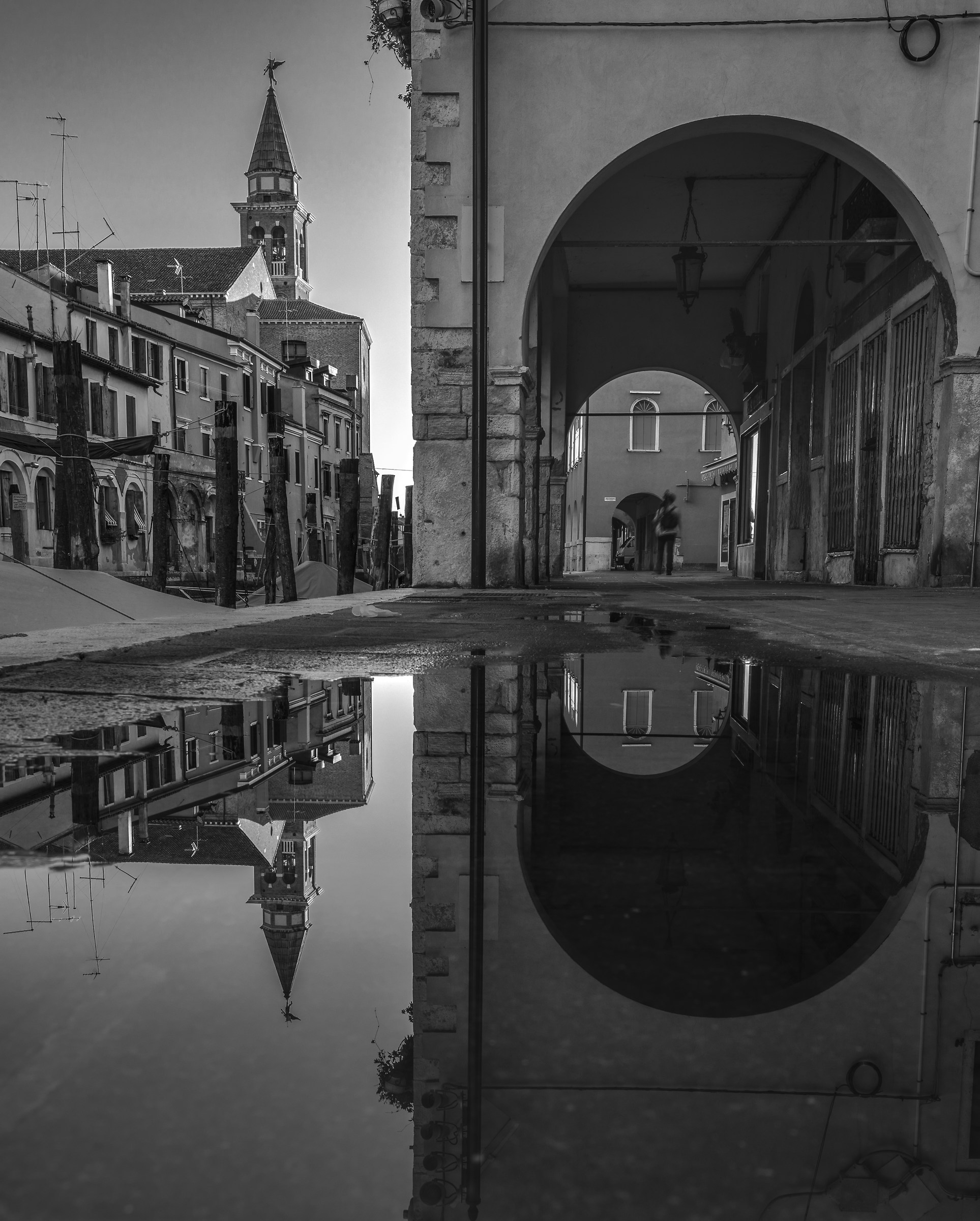 Black and White Chioggia