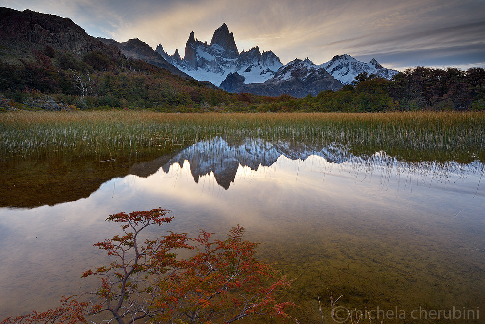 Fitz roy