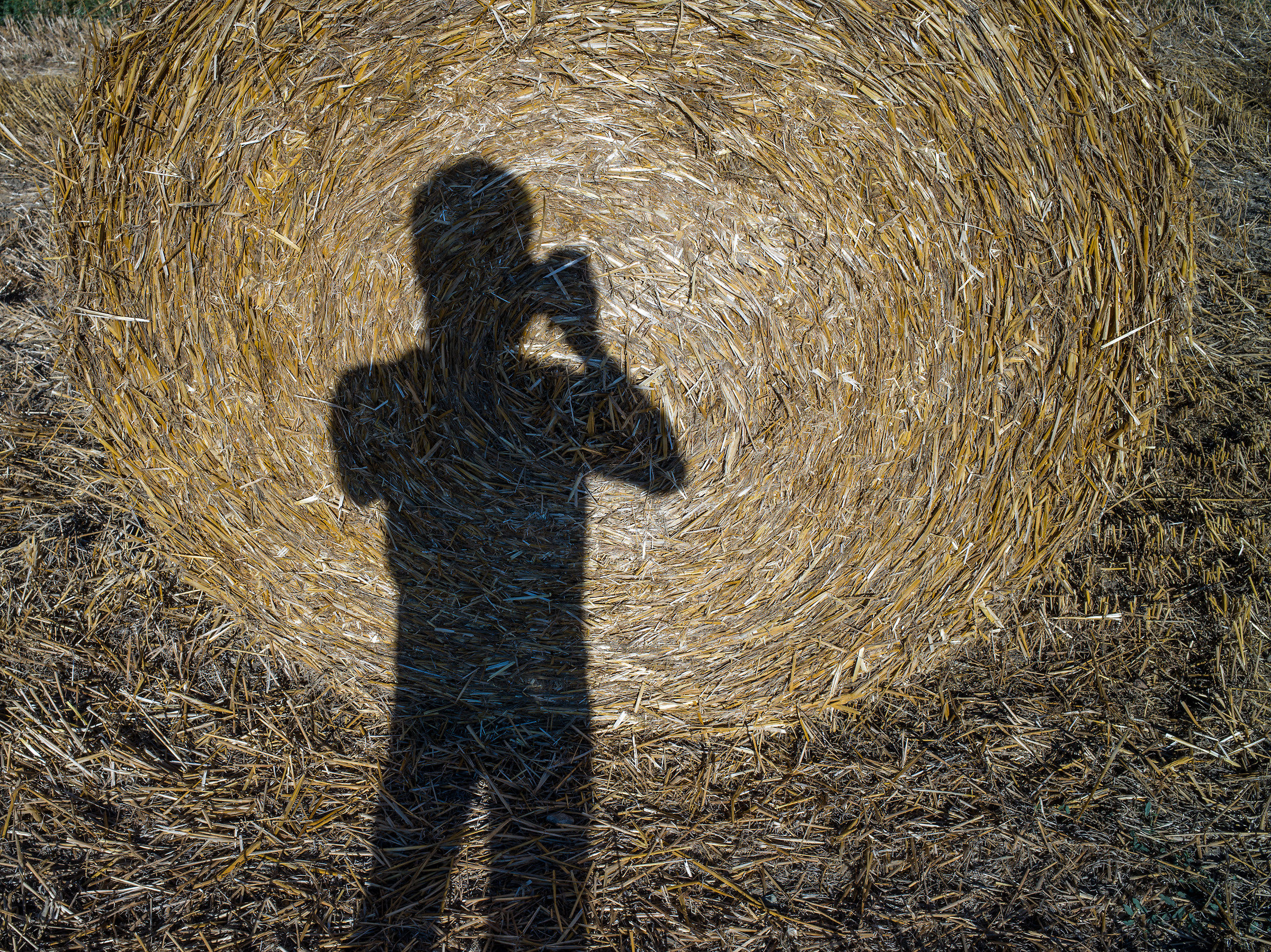 Self portrait in silhouette