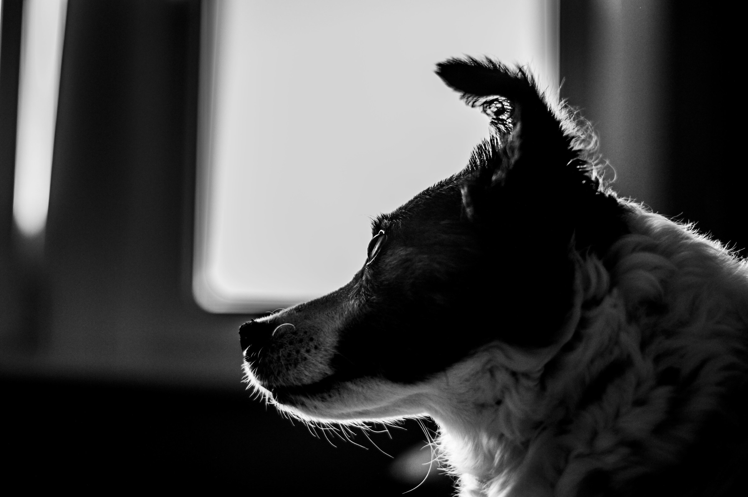 Immersed in his thoughts