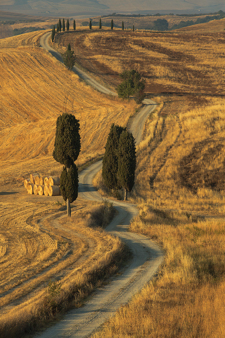 Val d'Orcia the gladiator's cypresses