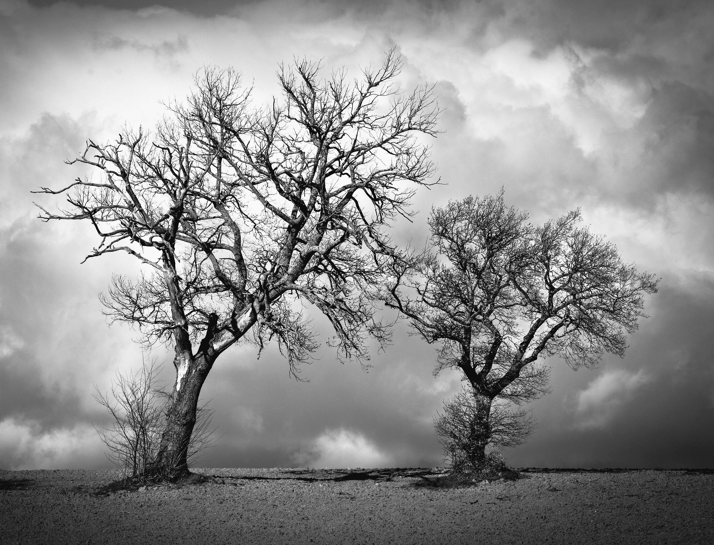 Natura tra le nuvole