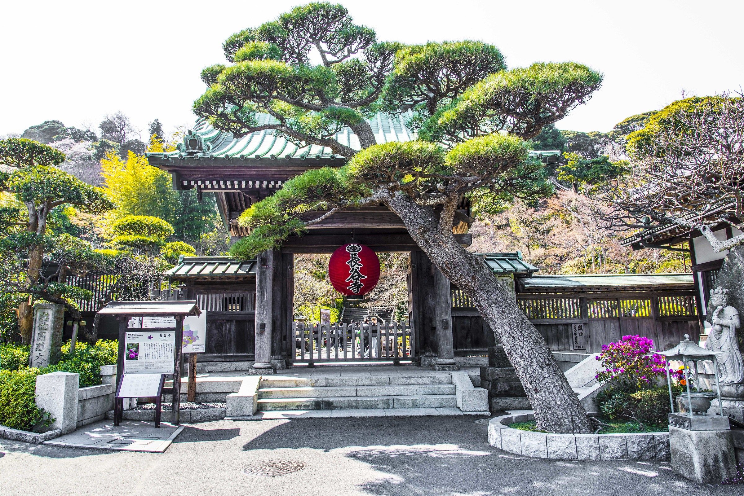 kamakura - Daibutsu Tempio Hase-Dera