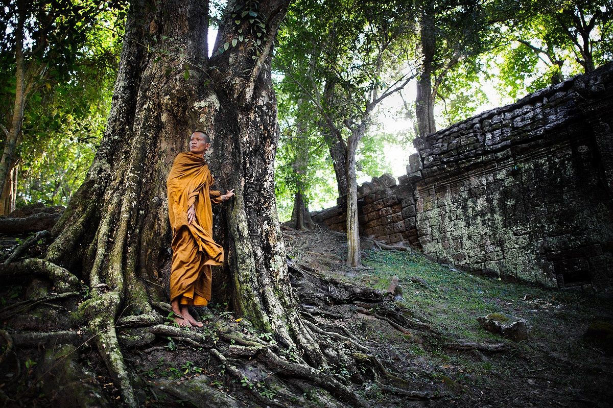 Naga and Buddha, Cambodia