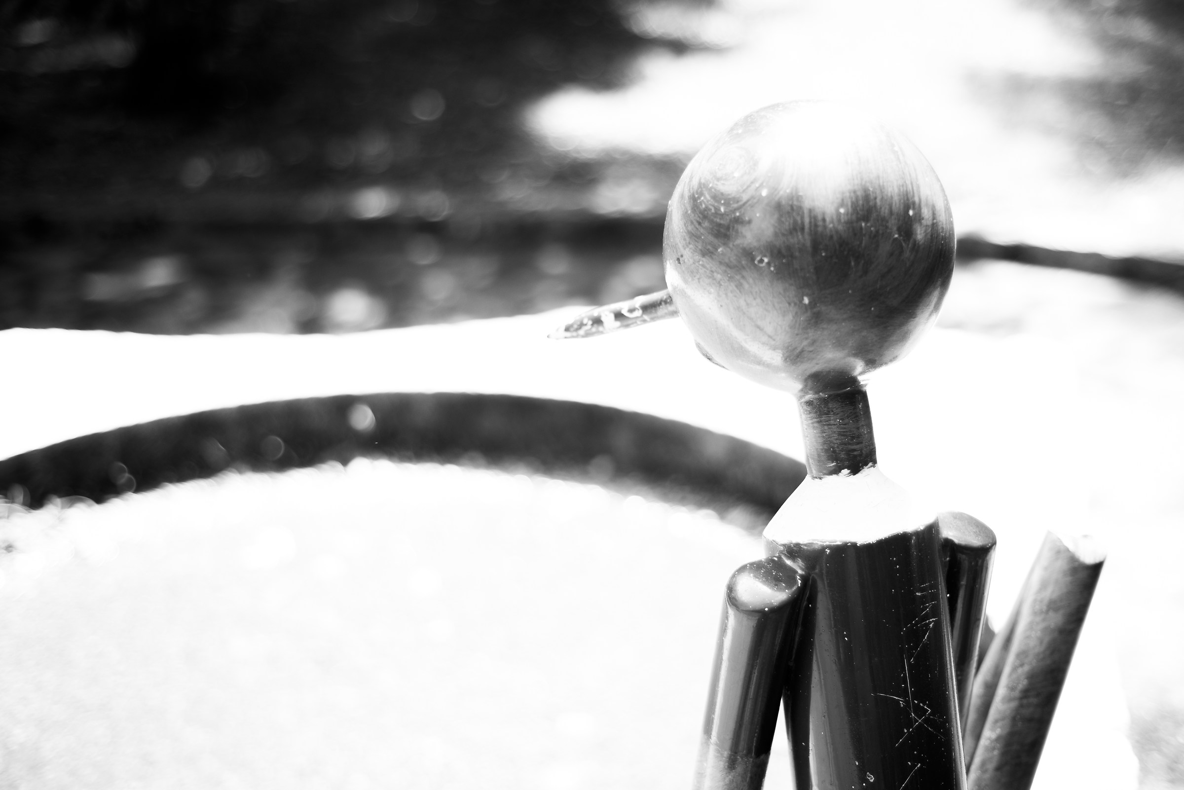 nel paese dei balocchi (pooh)