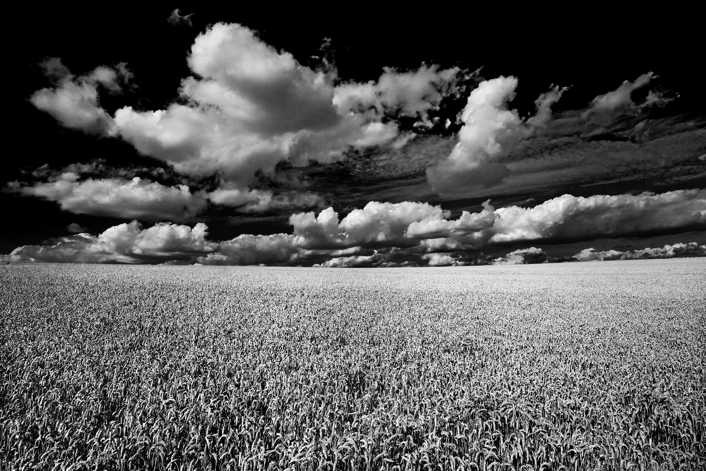 Just Clouds and Crops...