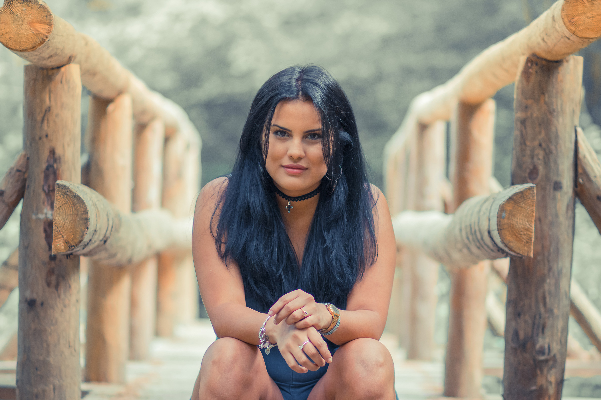 Book Denise: Il ponticello